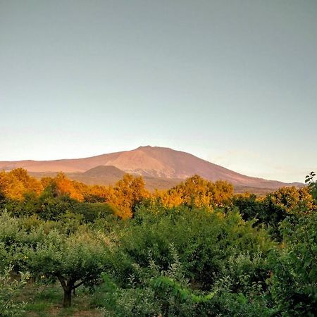 Mount Etna Chalet Maletto Kültér fotó
