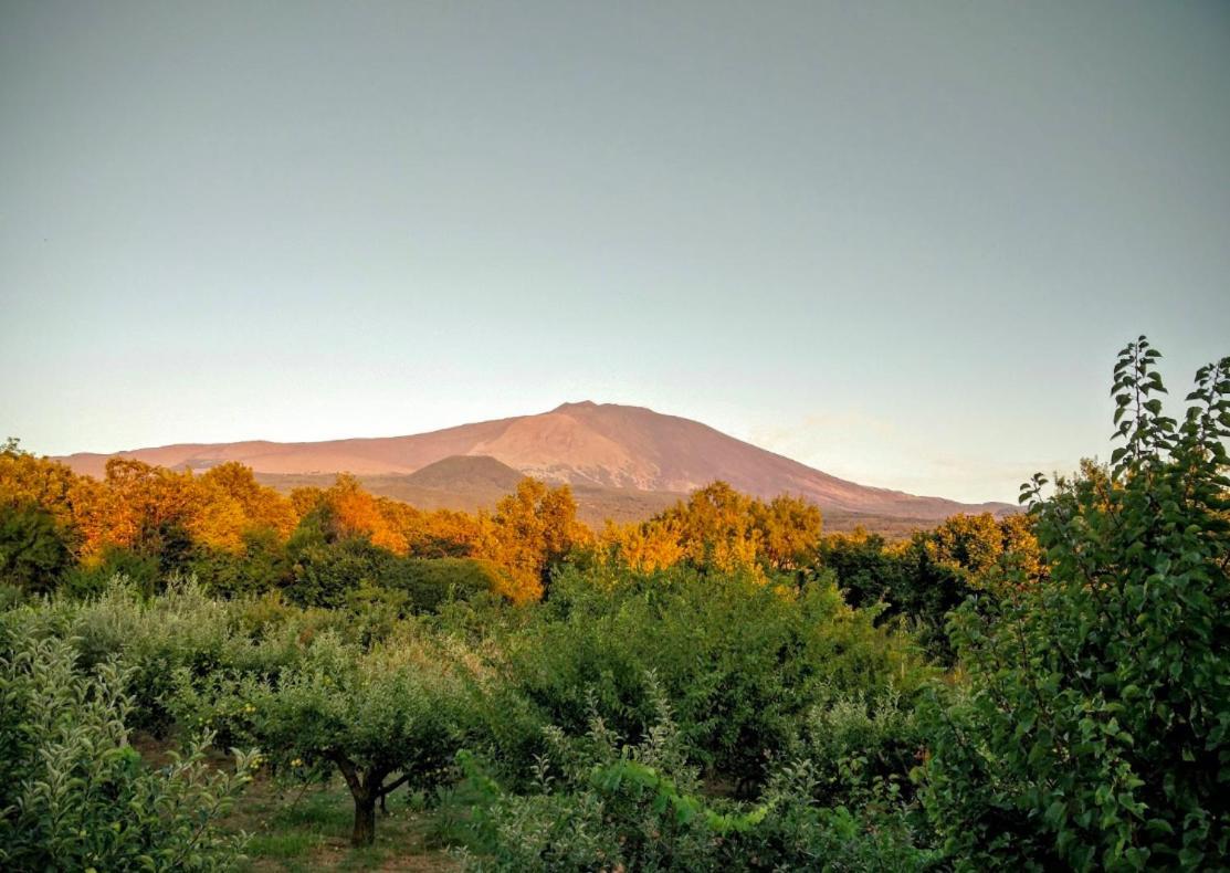 Mount Etna Chalet Maletto Kültér fotó
